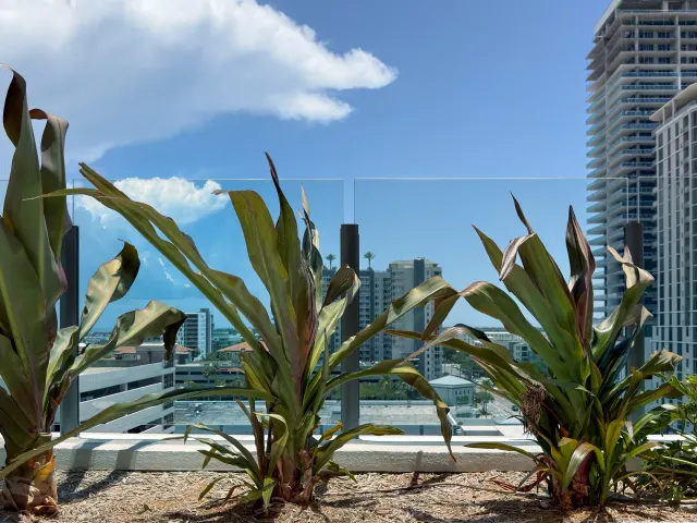 Glass railing on the Art House amenity deck.